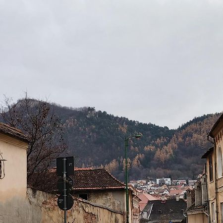Golden Greens Studio - Mountain Scenery Брашов Экстерьер фото