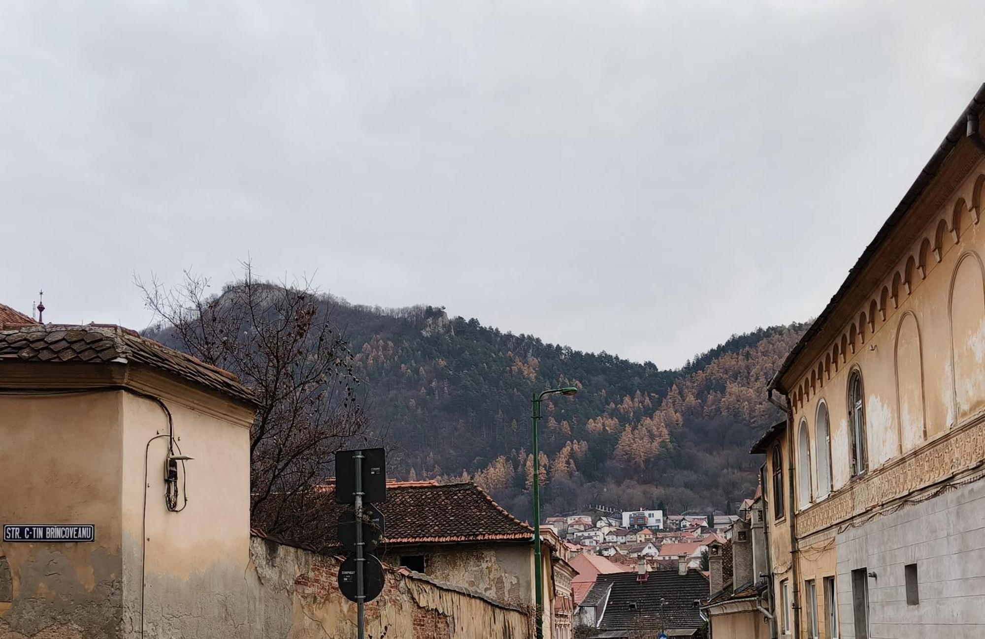 Golden Greens Studio - Mountain Scenery Брашов Экстерьер фото